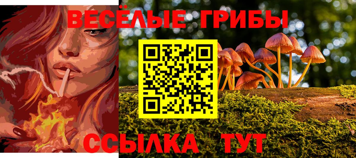 Вольск  Псилоцибиновые грибы Psilocybine cubensis  Вход с VPN 